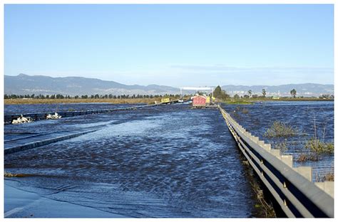 Lagunas De Xico Valle De Chalco Solidaridad Lagunas De X Flickr