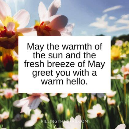 28 Perfect Hello May Quotes And Sayings To Greet The Month | Filling ...