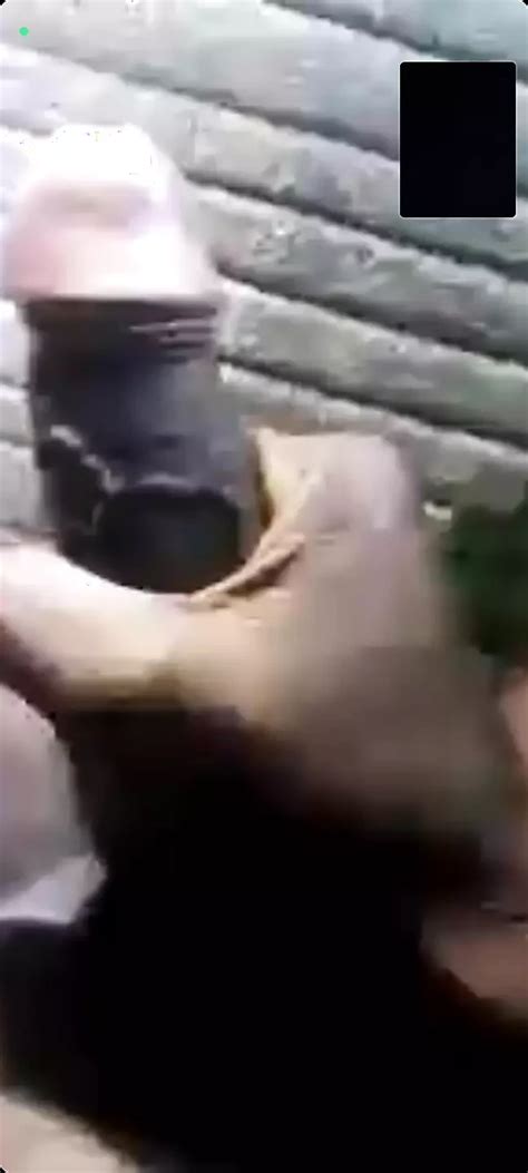 Desi Big Lund Video Call Masterbating Indian Gay Black Porn Xhamster