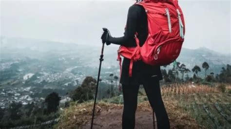 Trekking Pole Eiger Dan Consina Ini Jadi Pilihan Untuk Perlengkapan