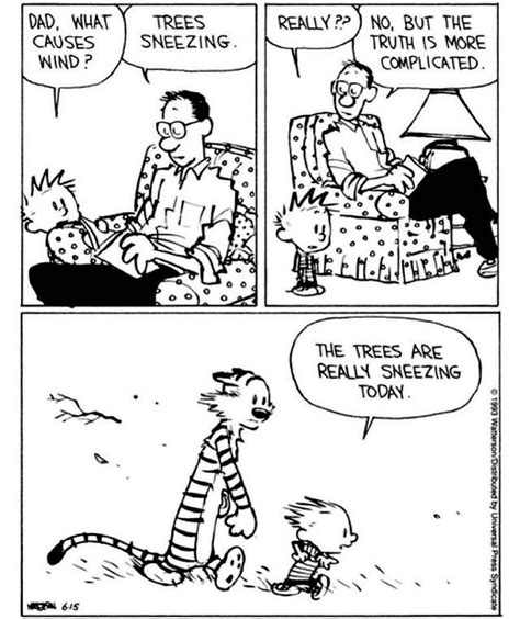 Hobbes On Instagram “another Dad Lesson Coming In Hot Calvinandhobbes Billwatterson