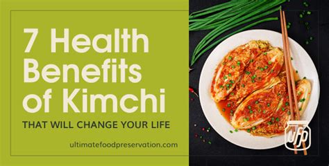 7 Health Benefits of Kimchi That Will Change Your Life - UFP