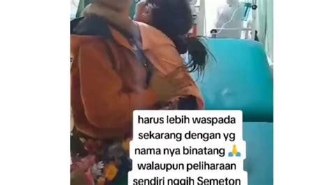 Viral Bocah Tahun Di Buleleng Meninggal Akibat Digigit Anjing Rabies