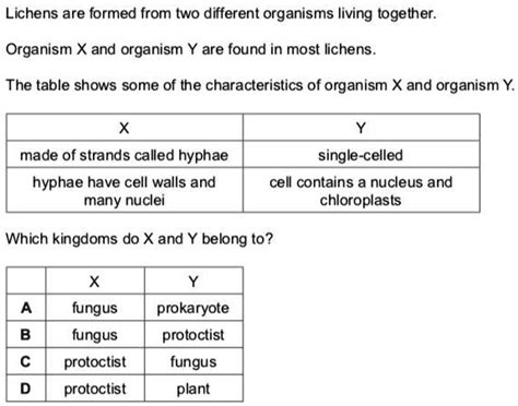 Solved Which Kingdoms Do X And Y Belong To Lichens Are Formed From