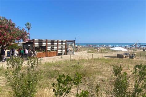 A Pescara Riviera Nord L Ecospiaggia Con Giardino Dunale Notizie