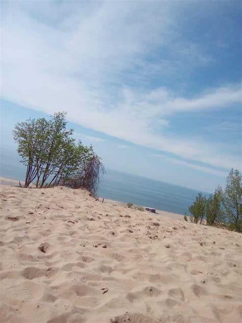 Ultimate Guide To Camping At Warren Dunes State Park Michigan Parks