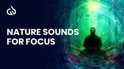 Nature Sounds For Focus Binaural Beats Nature Sounds For Concentration