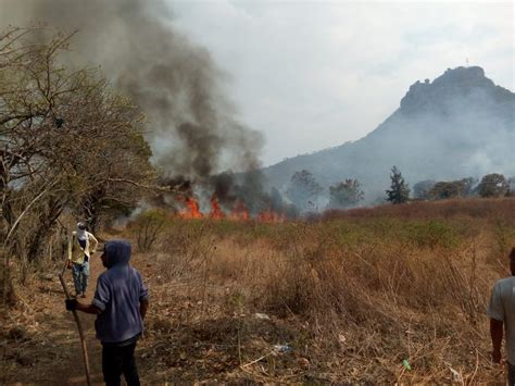 De enero a la fecha se han registrado 169 incendios en Zitácuaro