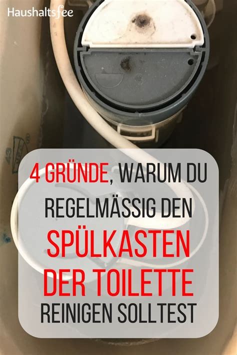 Toilette Reinigen Hausmittel Gegen Kalk Und Urinstein Toiletten