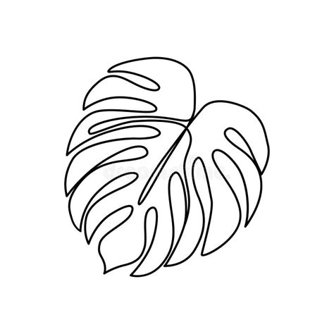 Hoja De Monstera De Línea Continua Dibujo De Contorno De Hojas