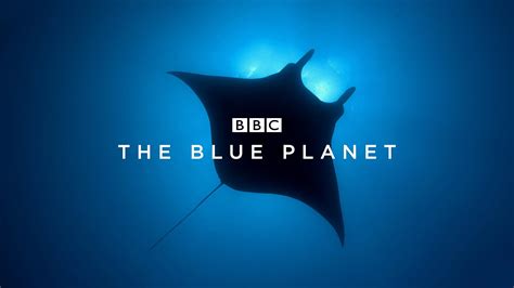 Watch Planet Earth The Blue Planet Season 1 Prime Video