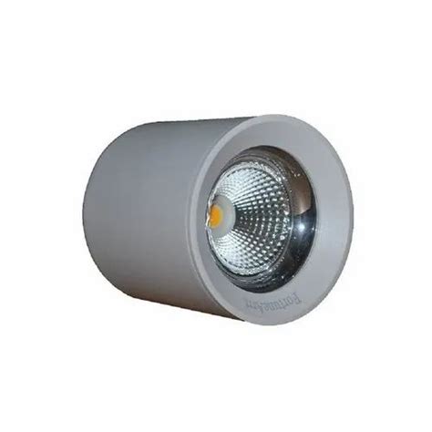 Fortune Arrt W Led Cob Surface Light For Indoor And Commercial At