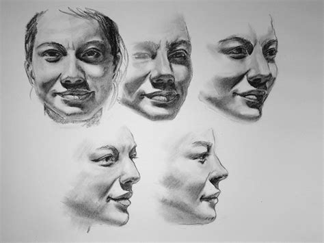 Drawing the Human Face: Tips for Beginner Artists - FeltMagnet