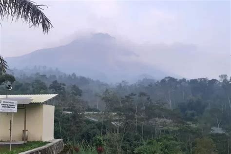 Simak Kondisi Gunung Merapi Pada Petang Ini Selasa Mei