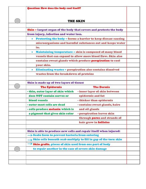 Human Body Part 1 Life Science Notes Powerpoint And Test ~ Editable