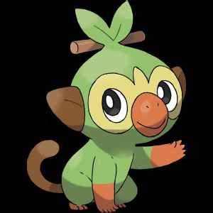 Pokemon Sword & Shield Grookey Location, Stats, Weaknesses, Attacks