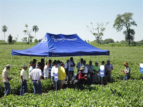 Parcelas Demostrativas