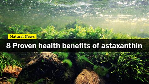 Enhance Your Strength And Stamina With Astaxanthin One Of Natures