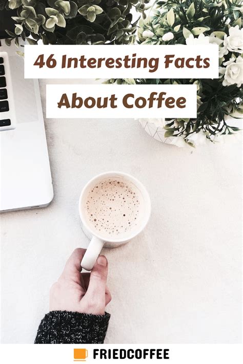 46 Interesting Coffee Facts Every Coffee Nerd Should Know Artofit