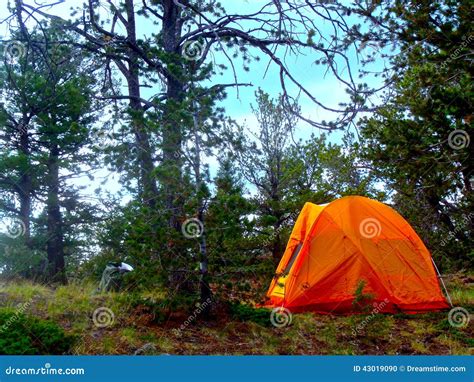 Camping in Colorado stock photo. Image of adventure, woodland - 43019090