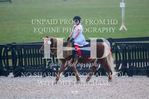 HD Equine Photography | Intro