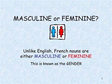 French Masculine Or Feminie