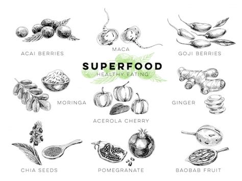 Superalimento Extraído Mão Ilustração Vetor Premium