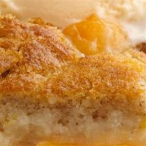 Georgia Peach Cobbler | Nancy Lee & Me