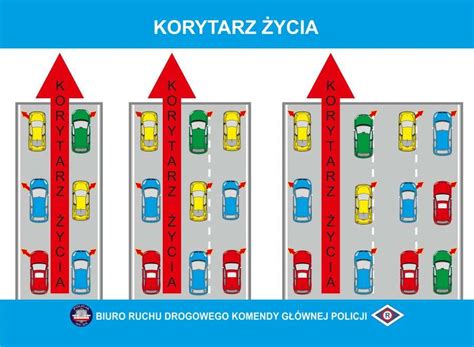 Calisia pl Korytarz życia i jazda na suwak zmiany w przepisach