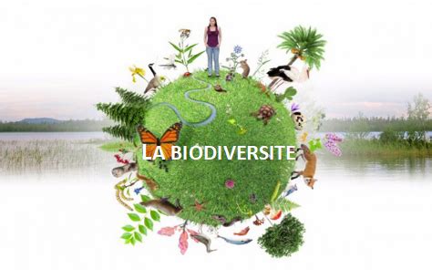 La biodiversité