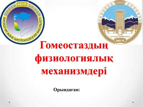 Гомеостаздың физиологиялық механизмдері - презентация онлайн