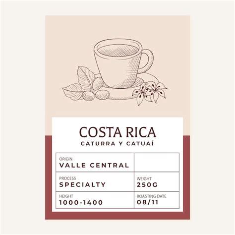 Free Vector Coffee Packaging Design Template