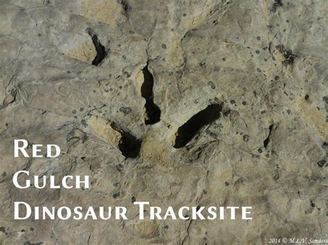 Red Gulch Dinosaur Tracksite Shores Of An Ancient Jurassic Sea