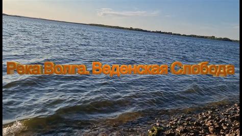 Рыбалка на Волге / Веденская Слобода / Важное сообщение( - YouTube