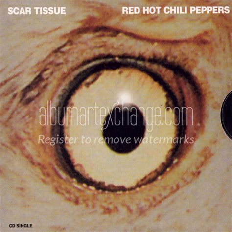 Album Art Exchange - Scar Tissue [Single] by Red Hot Chili Peppers ...