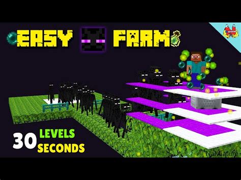 5 Best Farms To Build In Minecraft S End Dimension