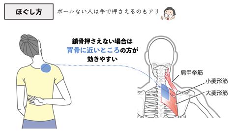 肩甲骨はがしの筋膜リリースで効果的なポイント・コツ バレエダンサーさんの治療院