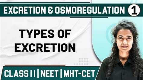 Excretion And Osmoregulation 01 Types Of Excretion Zoology Class