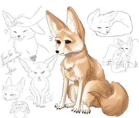 Artstation Fennec Fox Study And Messing Around