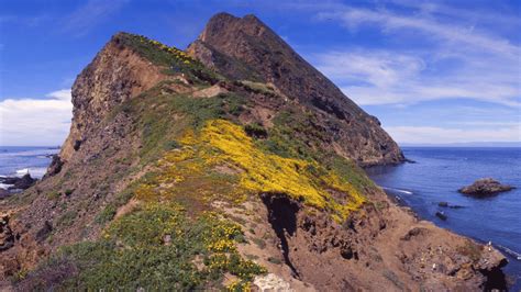 Surprising Channel Islands National Park Facts Guide