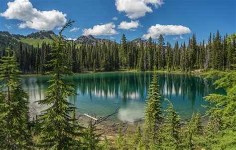 Mount Rainier National Park