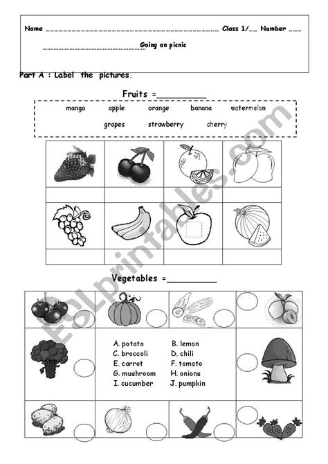 Going Picnic ESL Worksheet By Masterthao829