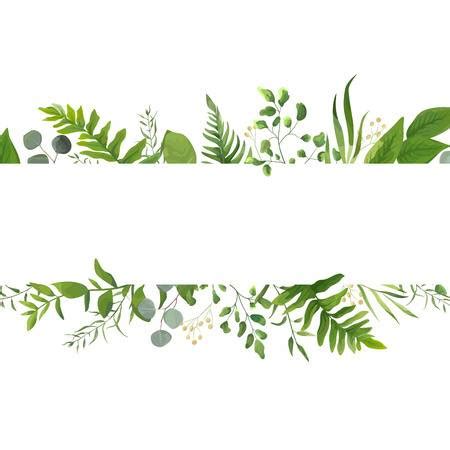 free clip art fern leaf 10 free Cliparts | Download images on Clipground 2024