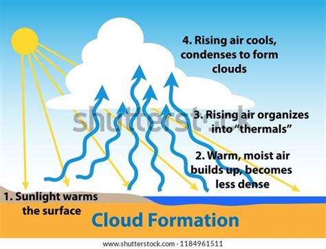 Cloud Formation Science Diagram How Clouds Stock Vector (Royalty Free ...