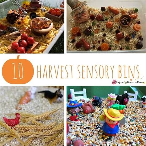 Fall Harvest Sensory Bins 10 Fun And Educational Ideas For Kids