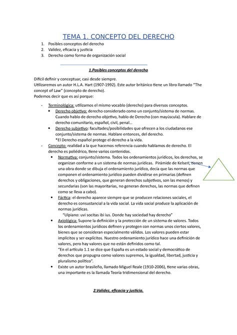 Tema 1 Teoria Del Derecho Tema 1 Concepto Del Derecho Posibles