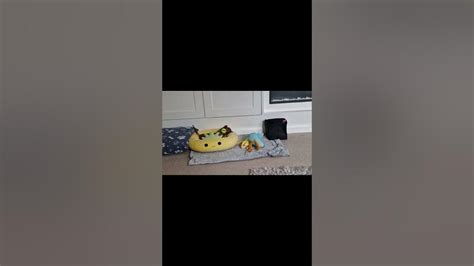 Squishmallow Puppy Time Puppy Dachshund Youtube