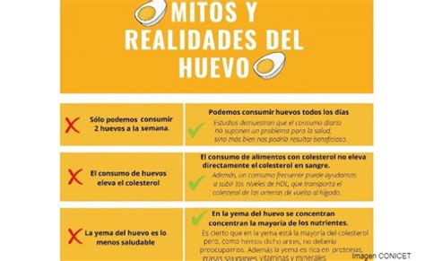 Beneficios Y Mitos Sobre El Consumo De Huevos Nutriaventura