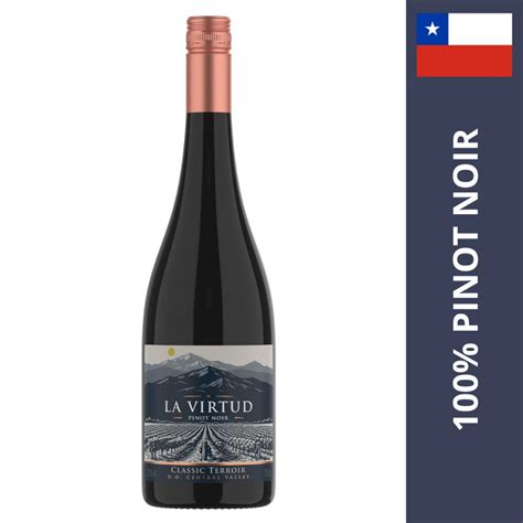 Vinho Chileno Pinot Noir - VINHO CHILENO TINTO LA VIRTUD CLASSIC TERROIR PINOT NOIR 2024 | Shopee ...