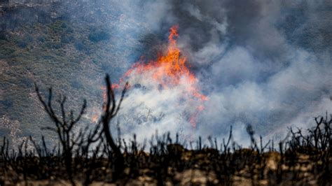 El Incendio De Bejís Sigue Desbocado Y Ya Ha Arrasado Más De 20000